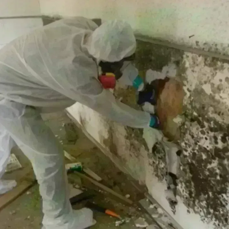 Mold Remediation and Removal in North Hampton, NH